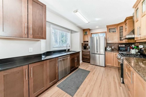 5007 Vallance Crescent Nw, Calgary, AB - Indoor Photo Showing Kitchen With Double Sink