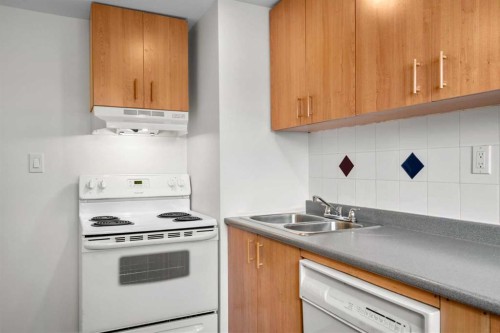 124 Bergen Crescent Nw, Calgary, AB - Indoor Photo Showing Kitchen With Double Sink