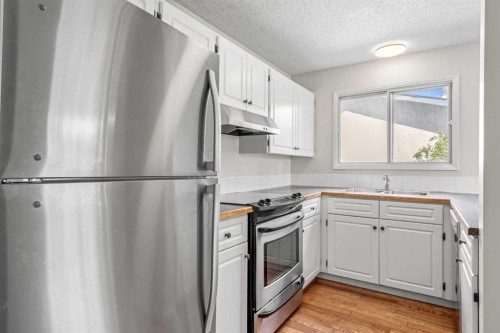 124 Bergen Crescent Nw, Calgary, AB - Indoor Photo Showing Kitchen With Double Sink
