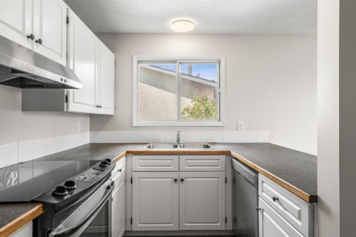 124 Bergen Crescent Nw, Calgary, AB - Indoor Photo Showing Kitchen With Double Sink