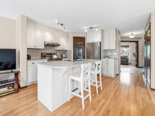 28 Cranberry Lane Se, Calgary, AB - Indoor Photo Showing Kitchen With Stainless Steel Kitchen With Upgraded Kitchen