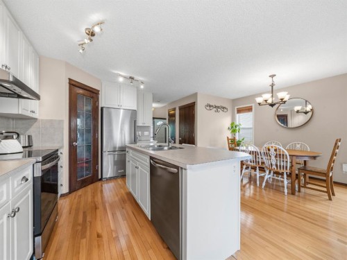 28 Cranberry Lane Se, Calgary, AB - Indoor Photo Showing Kitchen With Stainless Steel Kitchen With Upgraded Kitchen