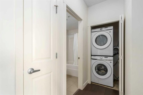 3210-175 Silverado Boulevard Sw, Calgary, AB - Indoor Photo Showing Laundry Room