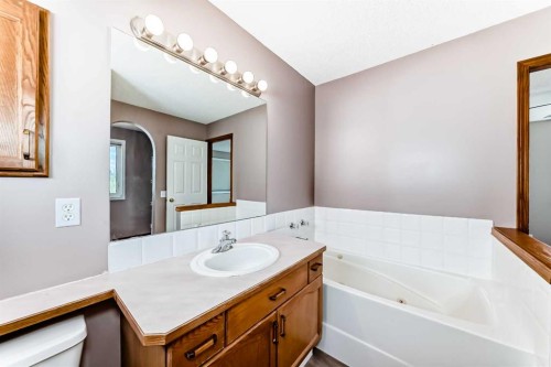 177 Douglas Glen Heath Se, Calgary, AB - Indoor Photo Showing Bathroom