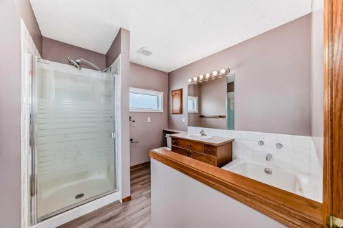177 Douglas Glen Heath Se, Calgary, AB - Indoor Photo Showing Bathroom