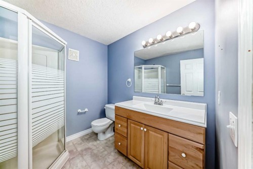 177 Douglas Glen Heath Se, Calgary, AB - Indoor Photo Showing Bathroom