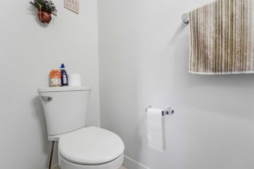 254 Redstone Drive Ne, Calgary, AB - Indoor Photo Showing Bathroom