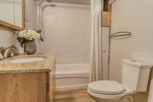 8286 Edgebrook Drive Nw, Calgary, AB - Indoor Photo Showing Bathroom