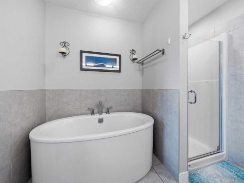 153 Chelsea Drive, Chestermere, AB - Indoor Photo Showing Bathroom
