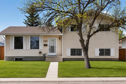 123 Rundleridge Way Ne, Calgary, AB - Outdoor