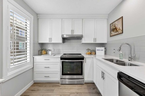 814 Cranbrook Walk Se, Calgary, AB - Indoor Photo Showing Kitchen With Stainless Steel Kitchen With Double Sink With Upgraded Kitchen