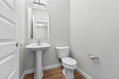 181 Buckskin Way, Cochrane, AB - Indoor Photo Showing Bathroom