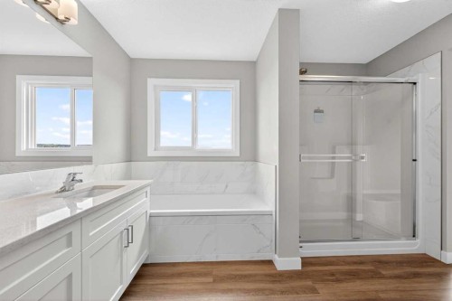181 Buckskin Way, Cochrane, AB - Indoor Photo Showing Bathroom
