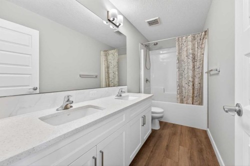 181 Buckskin Way, Cochrane, AB - Indoor Photo Showing Bathroom