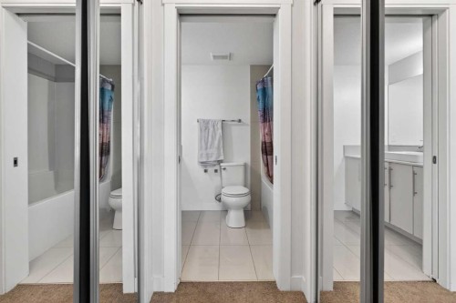 2303-302 Skyview Ranch Drive Ne, Calgary, AB - Indoor Photo Showing Bathroom