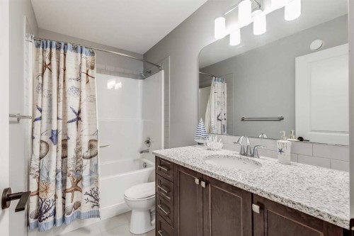 247 Hillcrest Heights Sw, Airdrie, AB - Indoor Photo Showing Bathroom