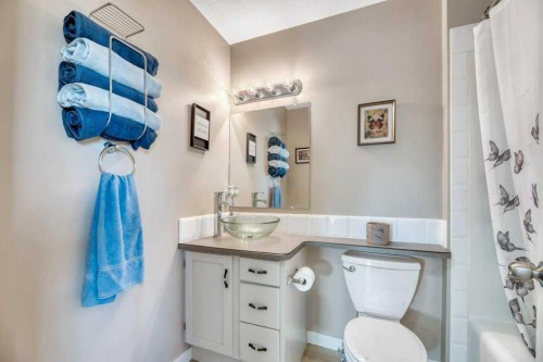 389 Strathford Crescent, Strathmore, AB - Indoor Photo Showing Bathroom