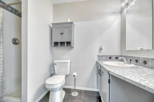 389 Strathford Crescent, Strathmore, AB - Indoor Photo Showing Bathroom