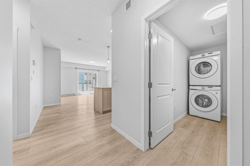 6207-20295 Seton Way Se, Calgary, AB - Indoor Photo Showing Laundry Room