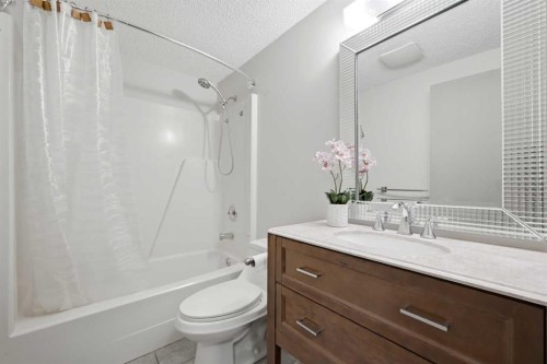156 Templeview Place Ne, Calgary, AB - Indoor Photo Showing Bathroom