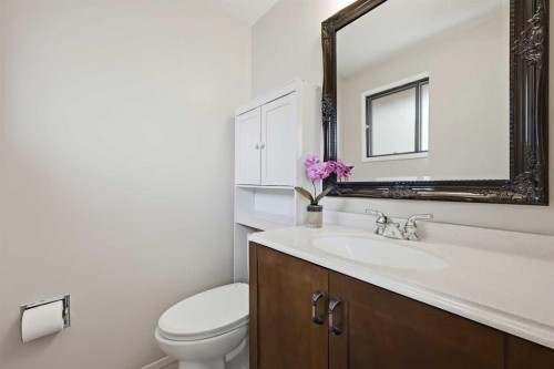 156 Templeview Place Ne, Calgary, AB - Indoor Photo Showing Bathroom