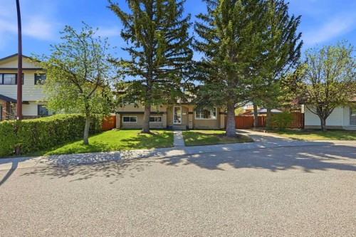 156 Templeview Place Ne, Calgary, AB - Outdoor