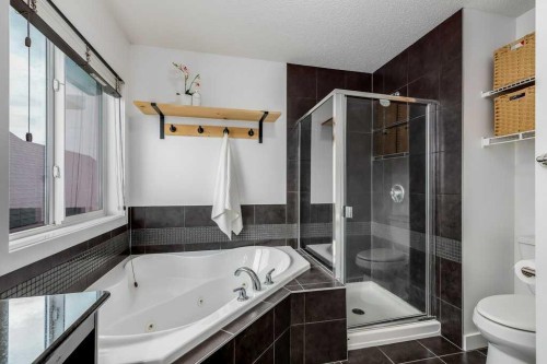 1065 Kingston Crescent Se, Airdrie, AB - Indoor Photo Showing Bathroom