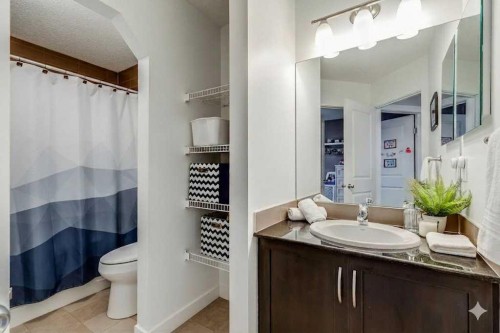1065 Kingston Crescent Se, Airdrie, AB - Indoor Photo Showing Bathroom