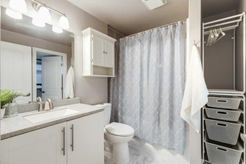 1065 Kingston Crescent Se, Airdrie, AB - Indoor Photo Showing Bathroom