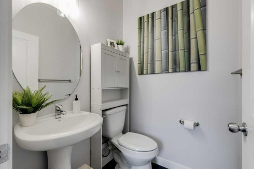 1065 Kingston Crescent Se, Airdrie, AB - Indoor Photo Showing Bathroom