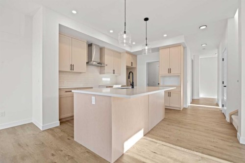 571 Buffaloberry Manor Se, Calgary, AB - Indoor Photo Showing Kitchen With Upgraded Kitchen