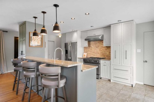 10220 Maple Grove Place Se, Calgary, AB - Indoor Photo Showing Kitchen With Upgraded Kitchen