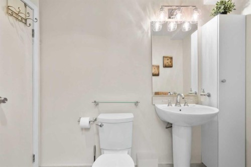 10220 Maple Grove Place Se, Calgary, AB - Indoor Photo Showing Bathroom