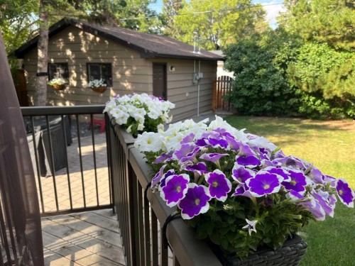 10220 Maple Grove Place Se, Calgary, AB - Outdoor