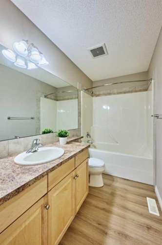 383 Prestwick Close Se, Calgary, AB - Indoor Photo Showing Bathroom