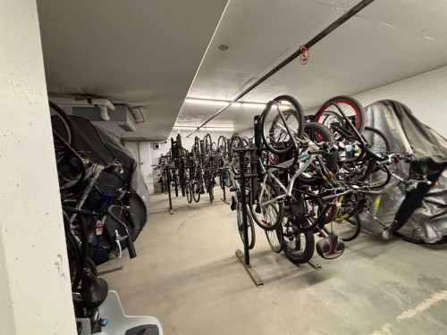 323-4150 Seton Drive Se, Calgary, AB - Indoor Photo Showing Garage