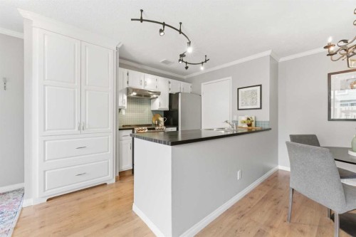 4-106 Grier Terrace Ne, Calgary, AB - Indoor Photo Showing Kitchen