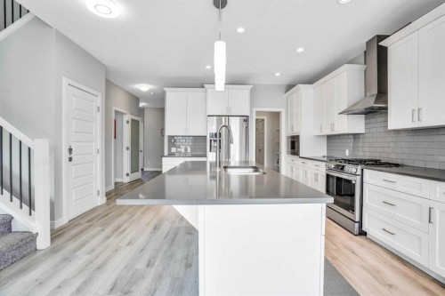 14 Evansfield Green Nw, Calgary, AB - Indoor Photo Showing Kitchen With Stainless Steel Kitchen With Upgraded Kitchen