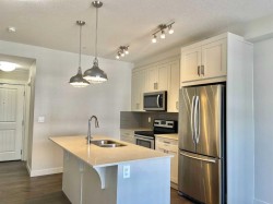 302-100 Auburn Meadows Common SE Calgary, AB T3M 2X7