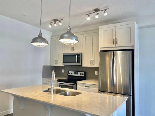 302-100 Auburn Meadows Common Se, Calgary, AB - Indoor Photo Showing Kitchen With Stainless Steel Kitchen With Double Sink With Upgraded Kitchen