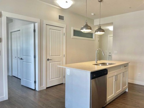 302-100 Auburn Meadows Common Se, Calgary, AB - Indoor Photo Showing Kitchen With Double Sink