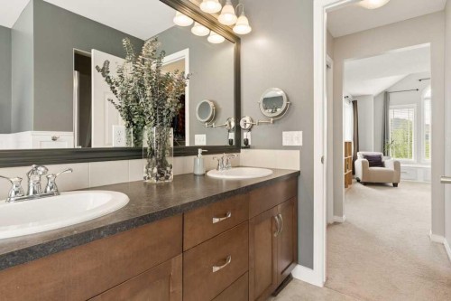 728 Windridge Road Sw, Airdrie, AB - Indoor Photo Showing Bathroom