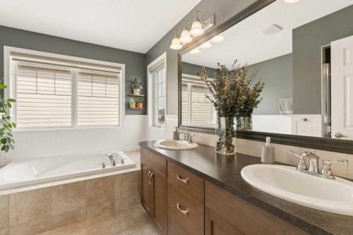 728 Windridge Road Sw, Airdrie, AB - Indoor Photo Showing Bathroom