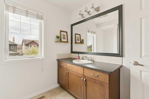 728 Windridge Road Sw, Airdrie, AB - Indoor Photo Showing Bathroom