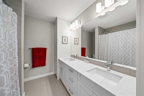 536 Cranford Drive Se, Calgary, AB - Indoor Photo Showing Bathroom