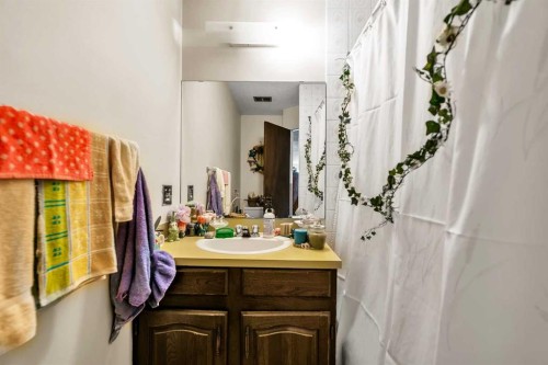 317 Templemont Place Ne, Calgary, AB - Indoor Photo Showing Bathroom