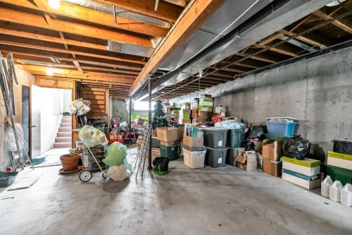 317 Templemont Place Ne, Calgary, AB - Indoor Photo Showing Basement