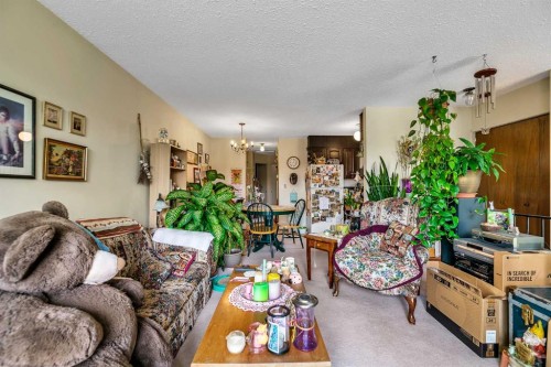 317 Templemont Place Ne, Calgary, AB - Indoor Photo Showing Living Room