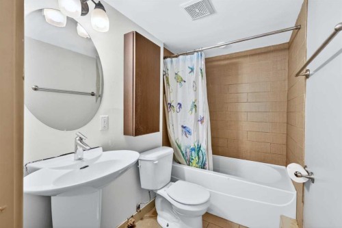 103-2020 11 Avenue Sw, Calgary, AB - Indoor Photo Showing Bathroom