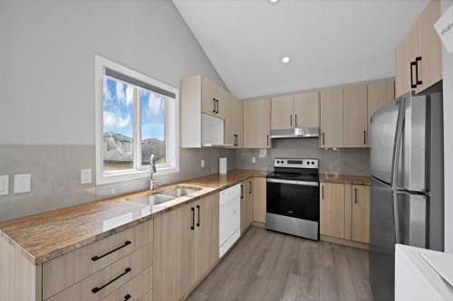 288 Saddlemead Road Ne, Calgary, AB - Indoor Photo Showing Kitchen With Double Sink With Upgraded Kitchen